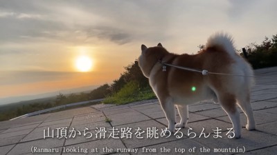 夕陽が綺麗…
