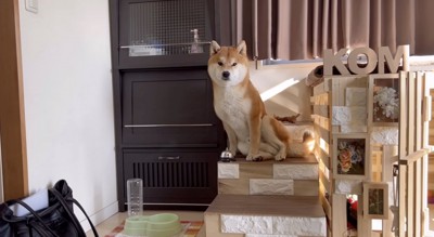 おやつの気分
