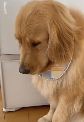 「びょう…いん…？？」