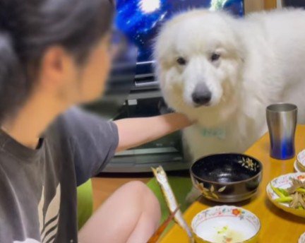 「今はダメ」