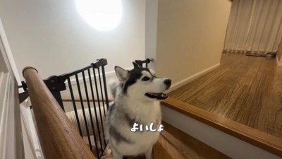 ヴァルくんがロック解除して…