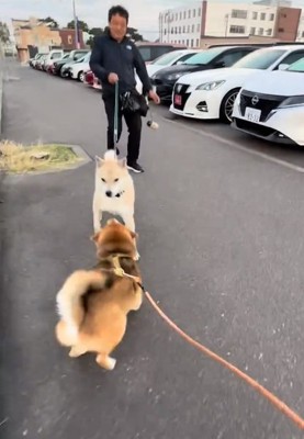 体を低くするぽんたくん