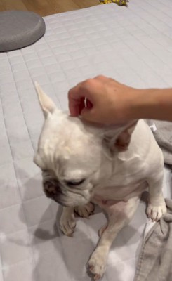 はなちゃんの体勢6