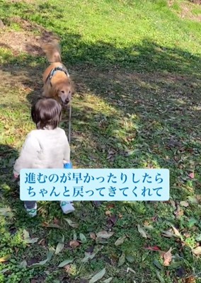 リードを持つ男の子と犬2