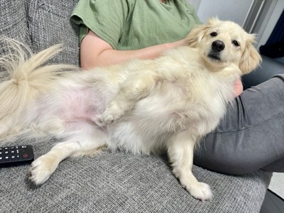 セクシー