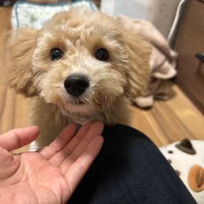 成長中のたむ君