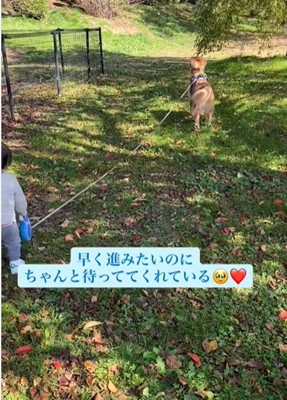 犬と男の子の後ろ姿1