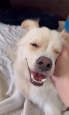 ぼーちゃんの変化6