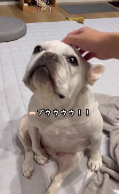 はなちゃんの体勢5