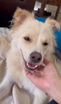 ぼーちゃんの変化⑩