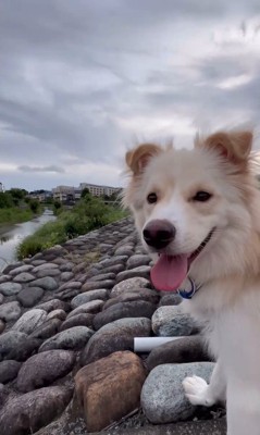 ぼーちゃんの変化9