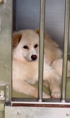 ぼーちゃんの変化