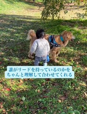 横向きの犬と男の子