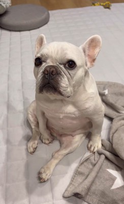 はなちゃんの体勢8