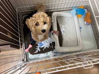 成長中のたむ君3