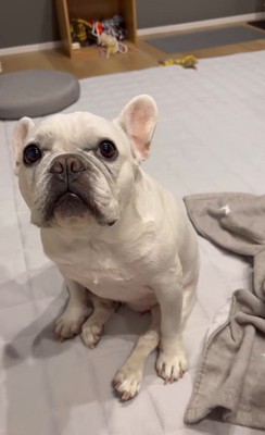 はなちゃんの体勢9