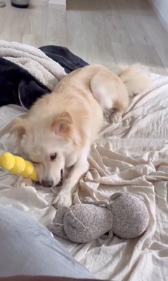 ぼーちゃんの変化8