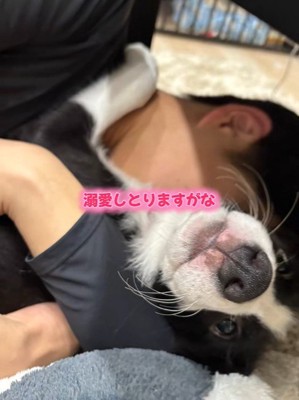 ルークくんと旦那さん6