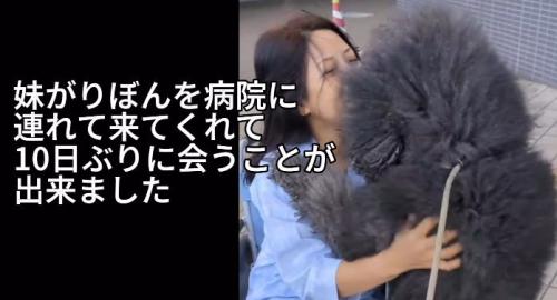 リボンちゃんを連れてお見舞いに