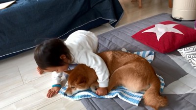 一緒に遊ぶふたり