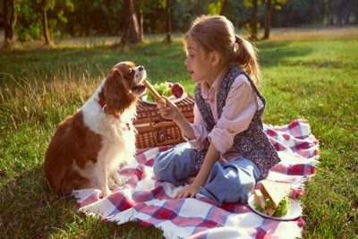 犬におやつをあげる少女