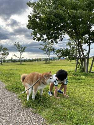 お散歩中