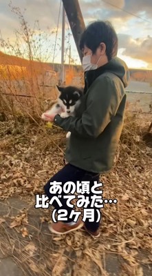 男性に抱っこされる子犬