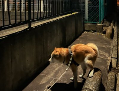 クセが強い