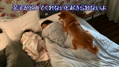 花子ちゃんを口実にするパパ