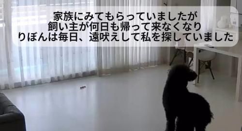 見守りカメラを見てみたら…