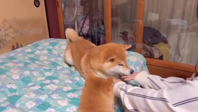 外れ