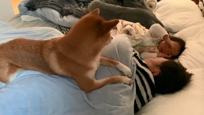 全然起きないパパ