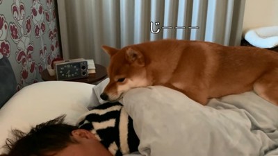 圧をかける花子ちゃん