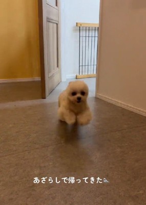 こんなに可愛くなったよ！！