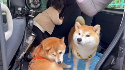 妹が初めての保育園へ