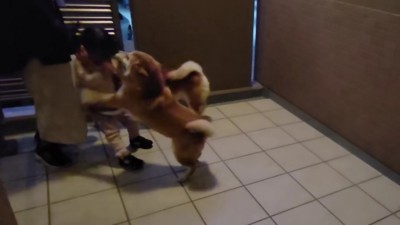 やっと帰ってきた!!