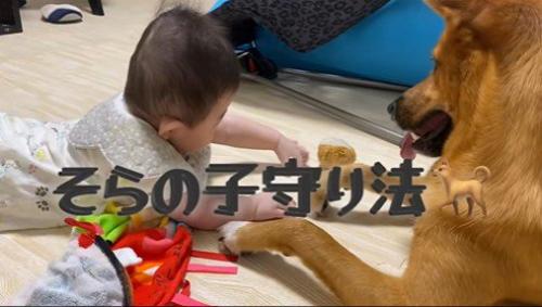 そらちゃんと赤ちゃん