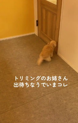 ドアの前で出待ち