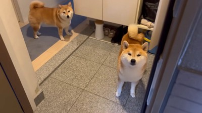 お迎え行ってくるね