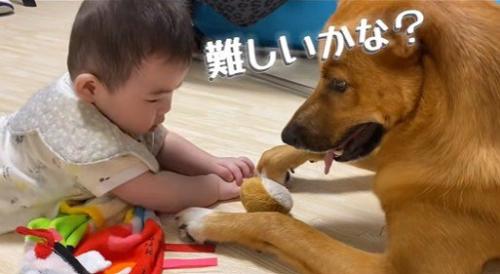 そらちゃんと赤ちゃん6