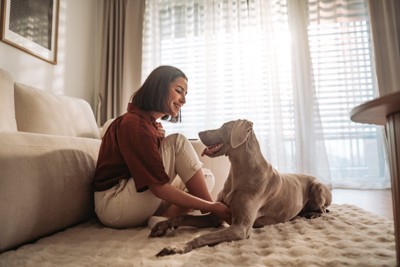 見つめ合う女性と犬