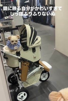 尻尾フリフリが止まらない♡