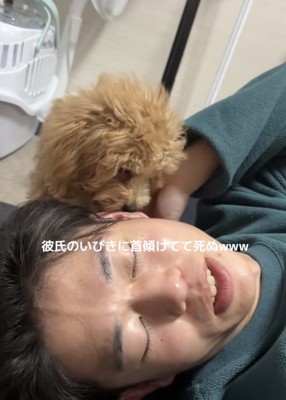 トイプーを手で避ける男性