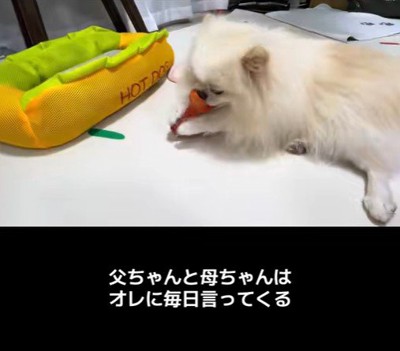 木ノ葉丸くんとの出会い9