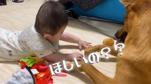 そらちゃんと赤ちゃん2