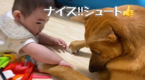 そらちゃんと赤ちゃん8