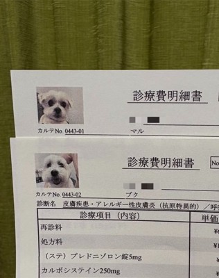 診療明細