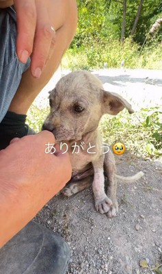 もう怖くないね