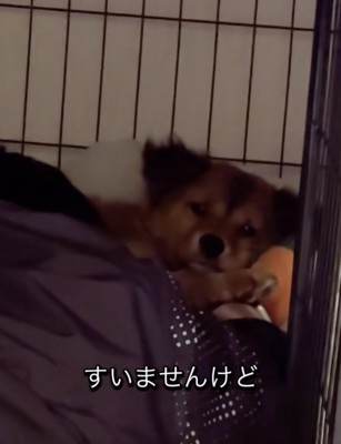 冷静な対応