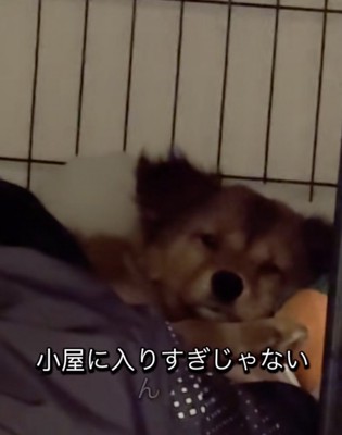 じーっ…